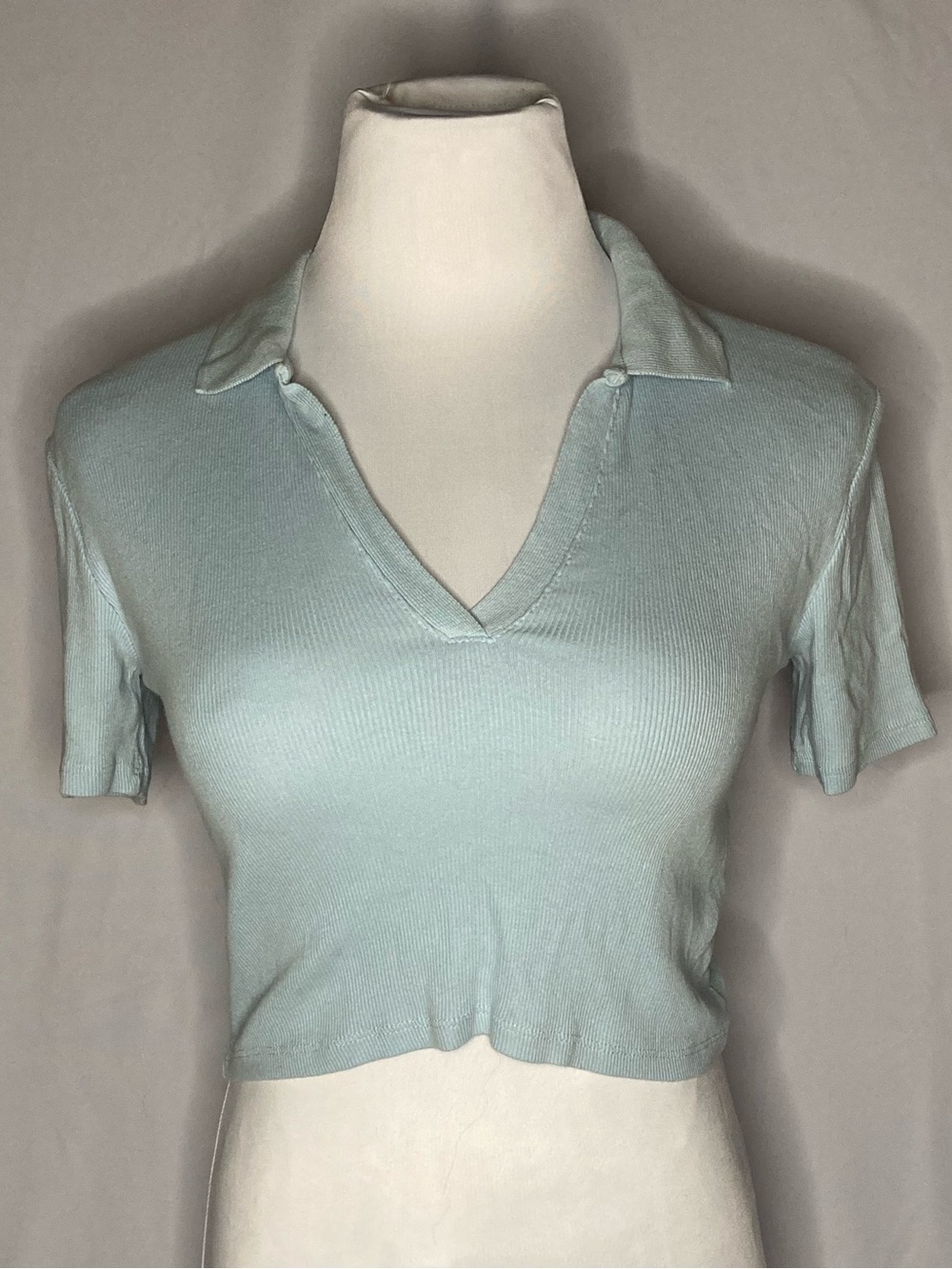 Zara Light Blue Crop Polo Top